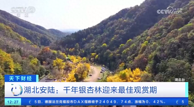 安陆赏秋“天花板”，登上央视！