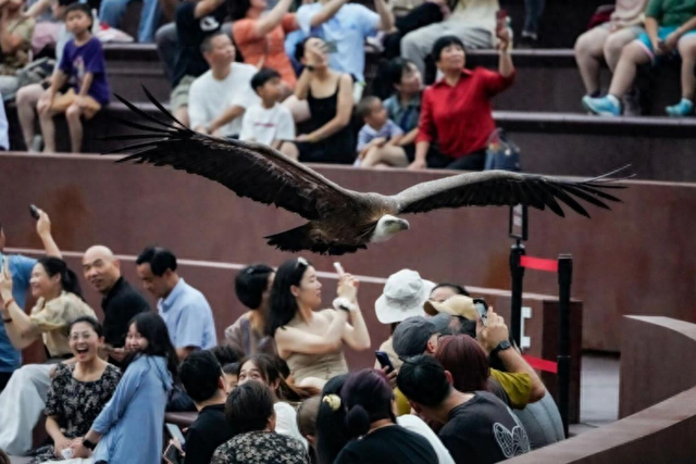 江苏无锡：在宜兴山水间，邂逅“飞鸟之约”