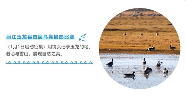 云南丽江：“拉市海观鸟季”系列宣传活动即将开启