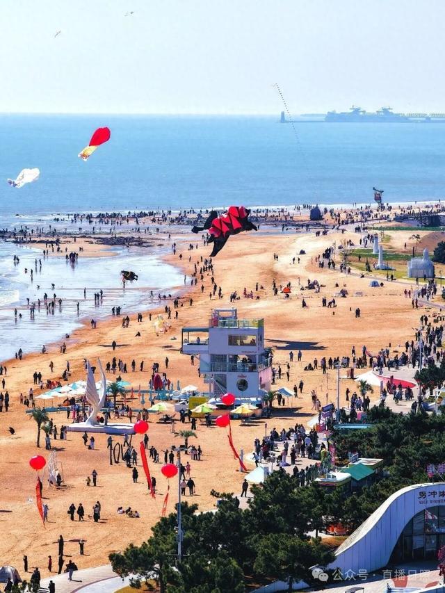风筝嘉年华来了！就在日照这里！现场好多“神马”都飞上天......