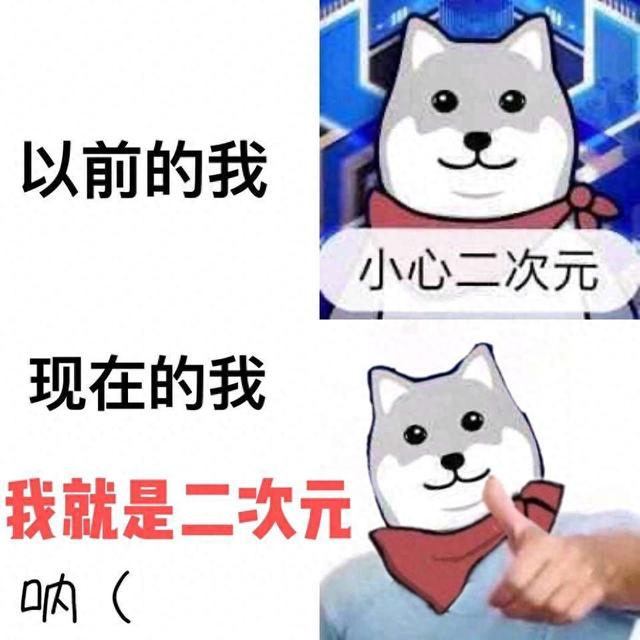 二次元是啥意思是什么（何为二次元有的人听见这词觉得找到了同类）