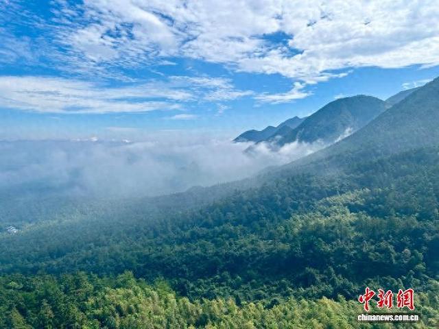 赣江观澜：在庐山，爱情能怎么“谈”？