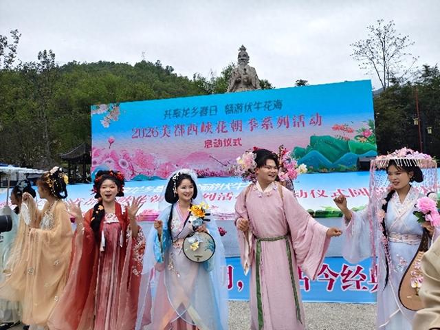 共赴龙乡春日 醉游伏牛花海 2026美鄀西峡花朝季盛大启幕