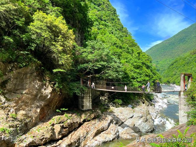 五一反向旅游首选：黑河国家森林公园，自驾+徒步+山居，避开人潮享秦岭秘境
