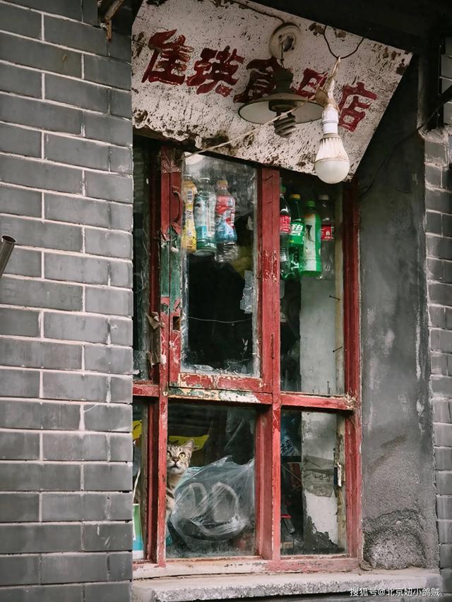 - 《灰瓦墙下的茶烟：胡同里的晨昏与家常》