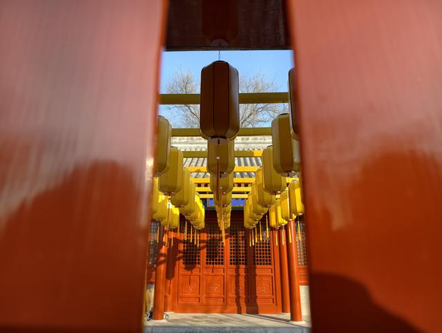 漫步团河行宫遗址公园，享受冬日静谧时光