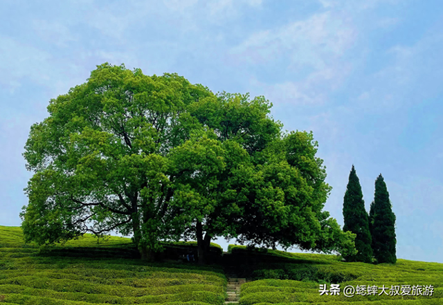 因省级文物而得名的杭州村落，夏日真好玩，周末前来，慢生活惊艳