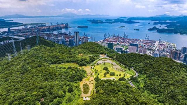 “宜居深圳”道路篇：山海与都市的交响