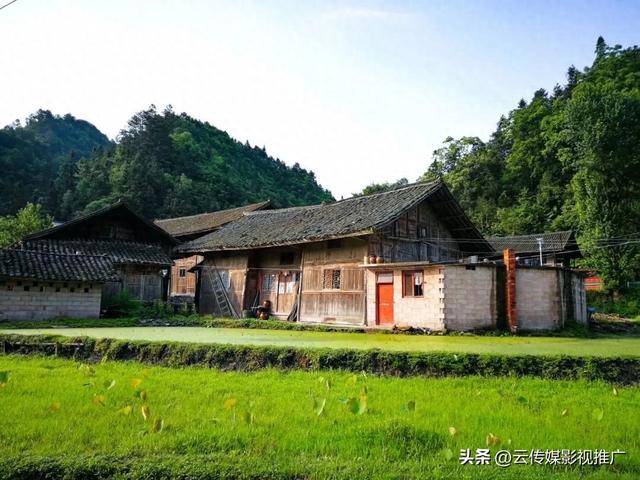 自媒体与AI的应用：重构内容生态的共生之道