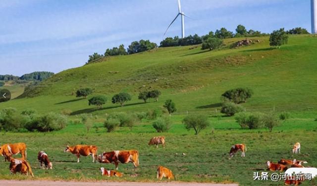 旅游收入194.4亿元！张家口张北县连续8年入选“中国最美县域”榜单