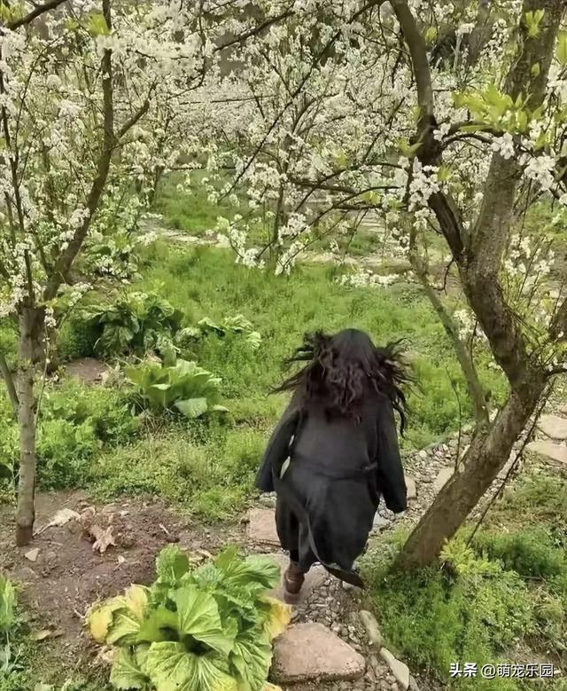 刚按下快门心里美滋滋，结果一秒被屏蔽，这翻脸速度比反应还快