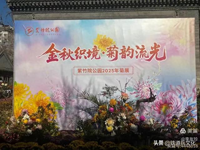 李友珍||岁月倏然·菊韵飘香——紫竹院公园的菊展