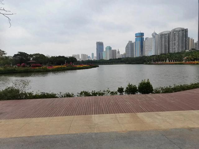 什么成语带有心字（说说含心字的成语大世界）