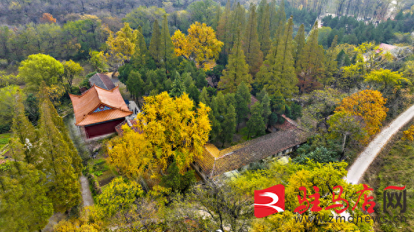 陪游北泉寺：一场与岁月的温情邂逅