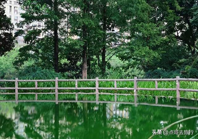 成都市区5大耍水公园，超级清净，还有沙滩，公共交通可直达！