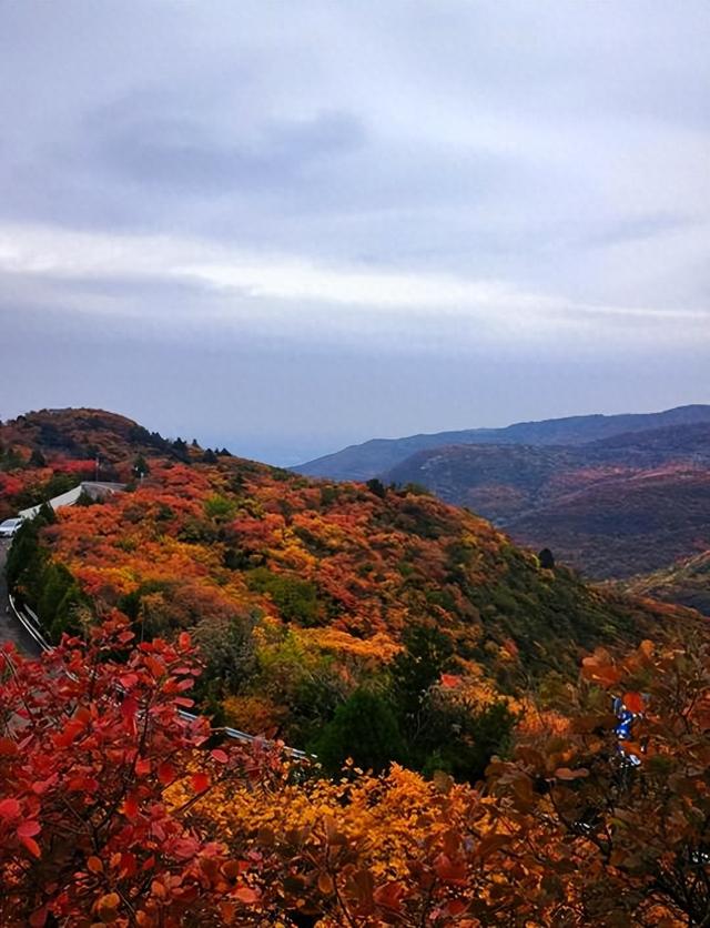 太原那些山！被低估的崛围山。秋景不输香山，崛围红叶晋阳古八景