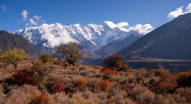 11月-12月错峰旅行，避开人潮，这8个地方，好风景正值最佳观赏期
