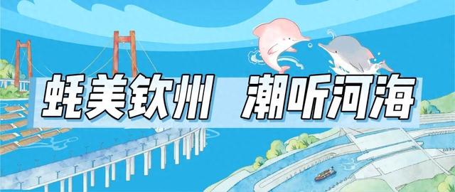 舒心旅居 | 2025年钦州蚝情节暖心指南来咯～