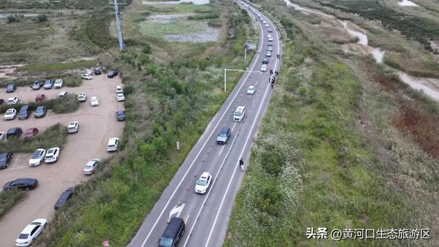 【情满双节游东营】黄河口生态旅游区 开启“人从众”模式 国庆精彩持续上演