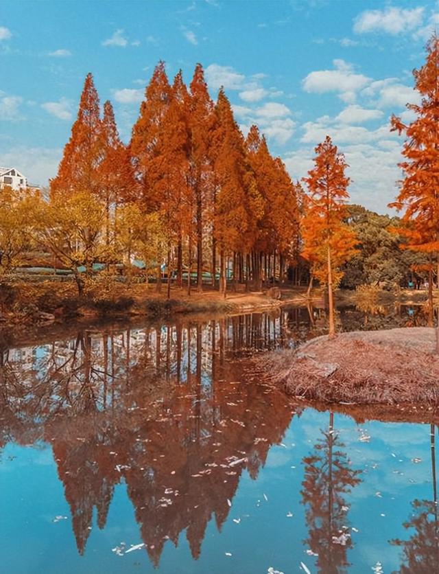 福州周边藏了个「秋日火焰山」！这5个红叶秘境，美成调色盘