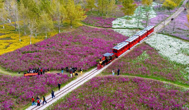 俯瞰初冬景色＃