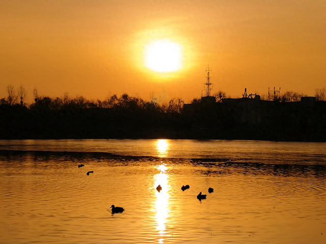 一亩园冬韵：湖漾冰凝冬生趣，花草霜缀笑含春
