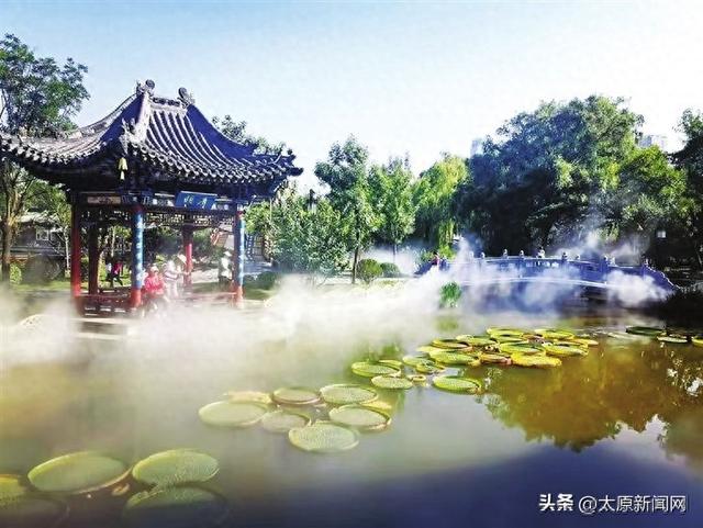 太原：王莲盛开 迎泽公园龙池成“仙境”
