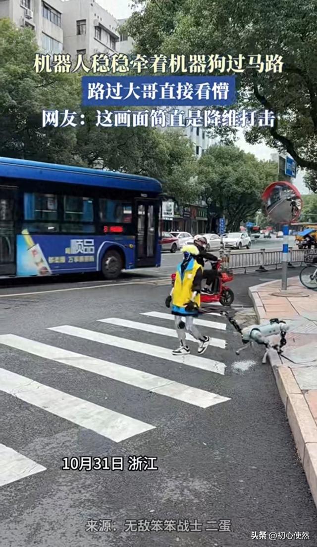 机器人牵机器狗过马路！路过大哥看懵：这是未来已来？