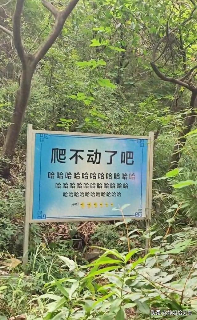 嵩山魔性加油牌火了 全国景区都在搞怪