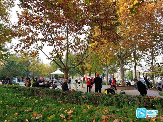 “潍”美游园 “坊”间探幽 | 沐春园：这里藏着市民的惬意日常