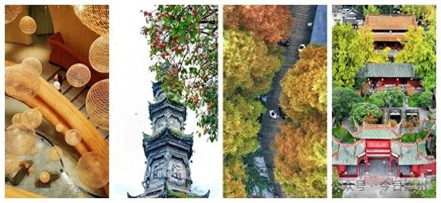 秋假去哪？崇州这些亲子游宝藏地不容错过