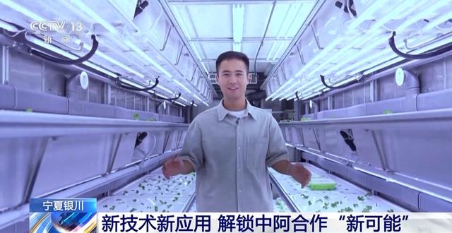 蔬菜大棚搬进展厅 机器人大厨作美食 这届中阿博览会不要太好玩