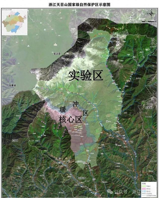 严禁一切非法穿越！浙江天目山保护区发布公告