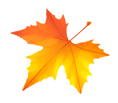 深化文旅合作 携手共促繁荣