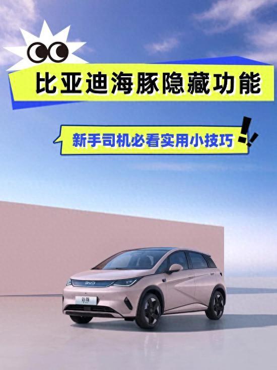 海豚逃生攻略（海豚车主必看的隐藏功能）