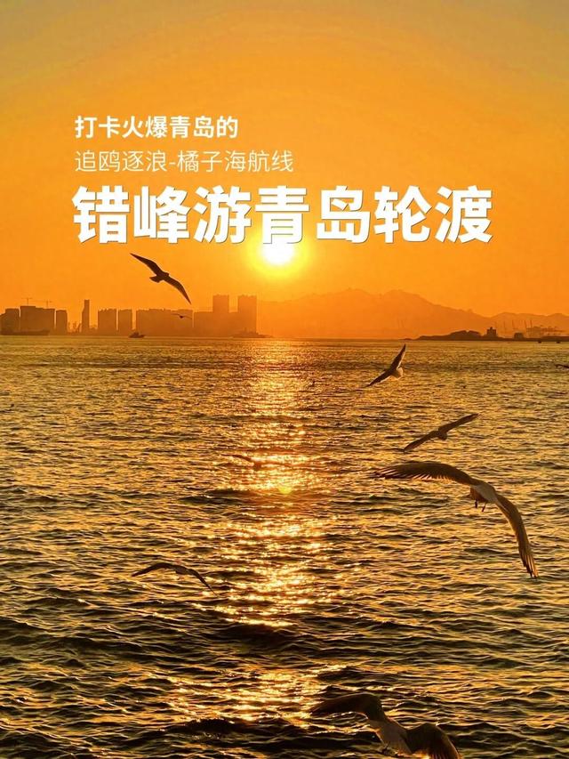错峰游青岛轮渡，打卡火爆青岛的追鸥逐浪-橘子海航线！