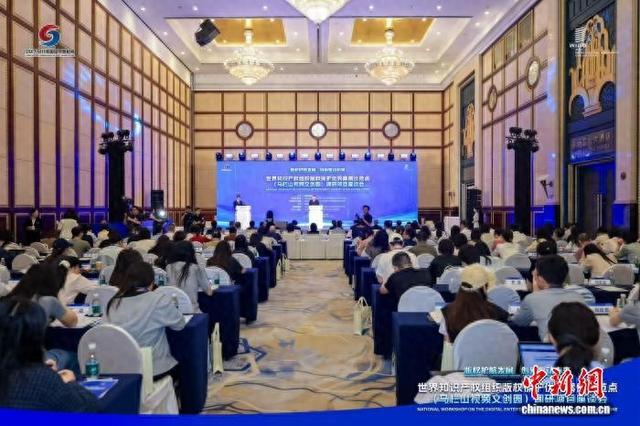 世界知识产权组织版权保护优秀案例示范点项目座谈会在长沙举行