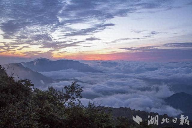 巴东绿葱坡：破晓烟云绘仙境