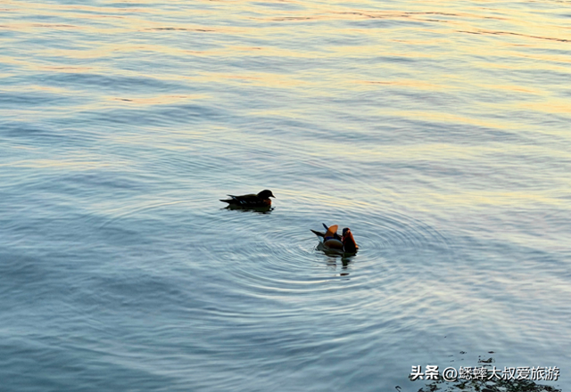 杭州秋日哪些地方值得去玩？六大免费惊艳地来了，各个都是心头好