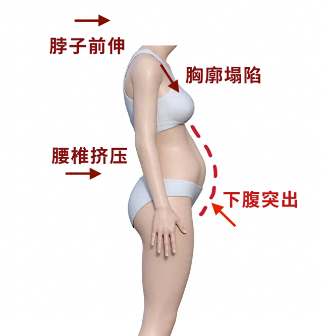 5公分是不是5厘米（女生小肚子突出）