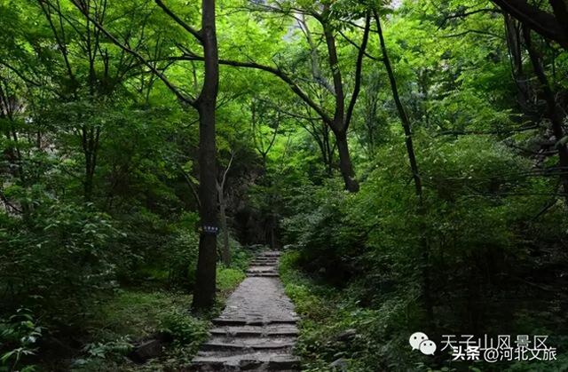 云峰溪谷氧生地，龙脉太宗天子山