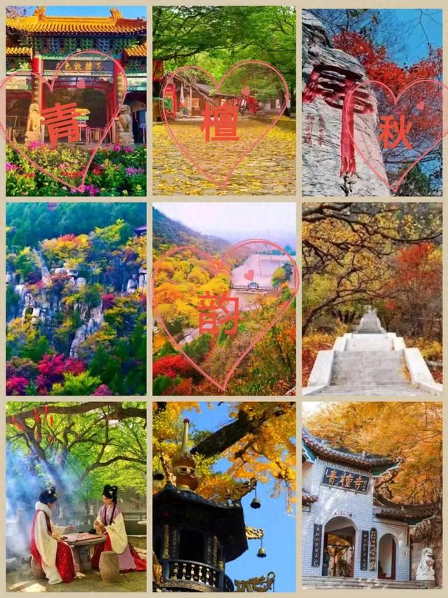 九九重阳 情暖青檀 | 陪父母寻一场秋日最诗意的慢旅行