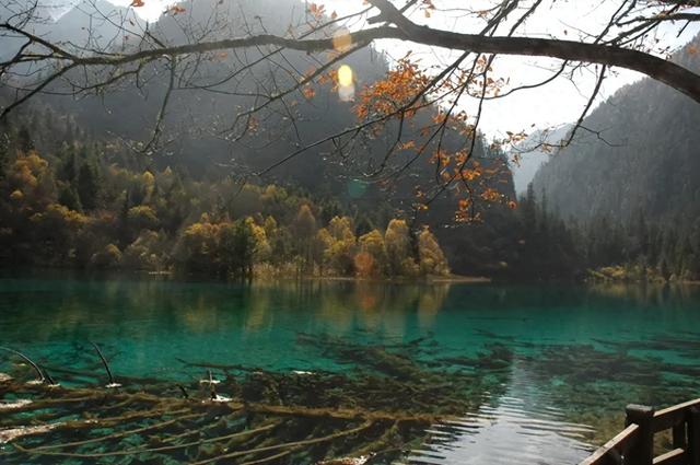 11月必游！九寨沟的绝美秋色，错过等一年！