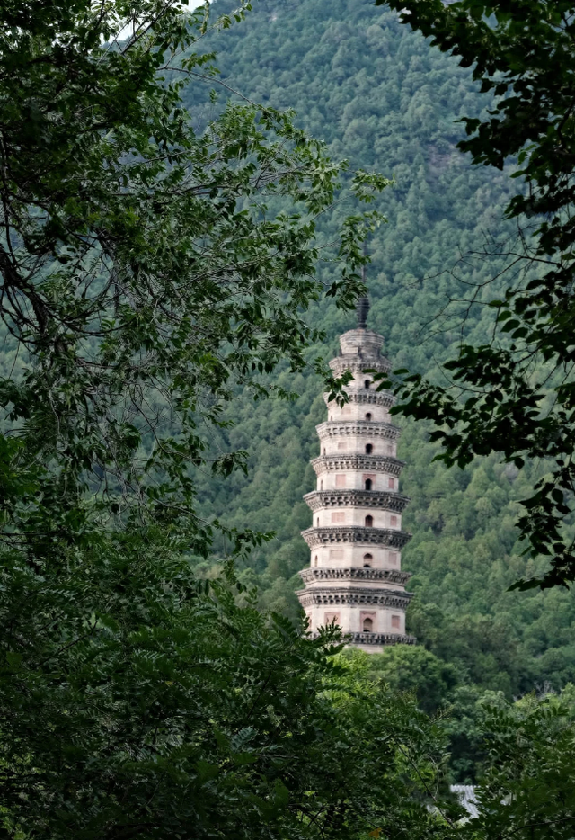 致敬华流！灵岩寺景区邀全球杰迷免费畅游 解锁禅意与青春的双向奔赴