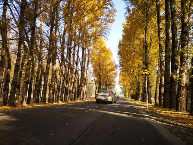 “秋日左云”美出圈!长城一号旅游公路成寻秋打卡热门地~