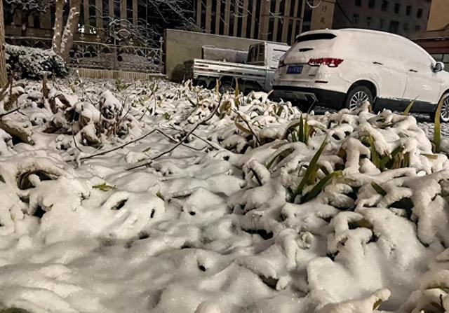 河南雪停就没事了？14日真正体验才到！河南未来3天天气变化详情