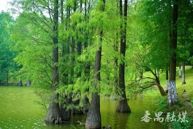 这么近，那么炫，周末来充电！