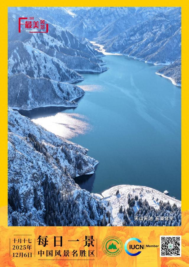 每日一景 | 天山天池 玉凝穹宇