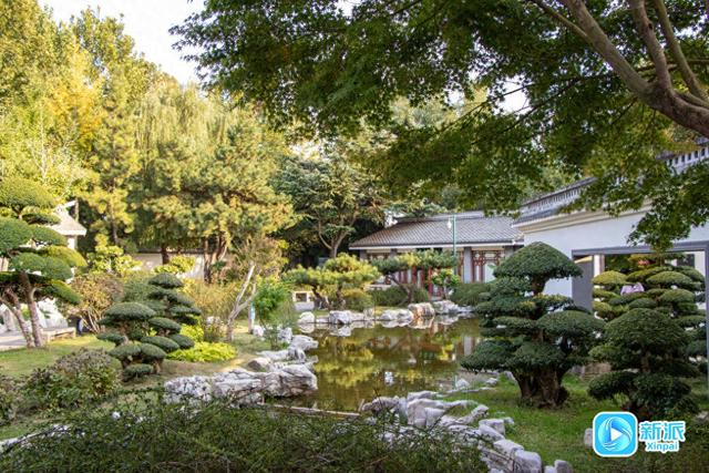 自然之美融人文之韵，潍坊植物园绘就秋日雅致画卷