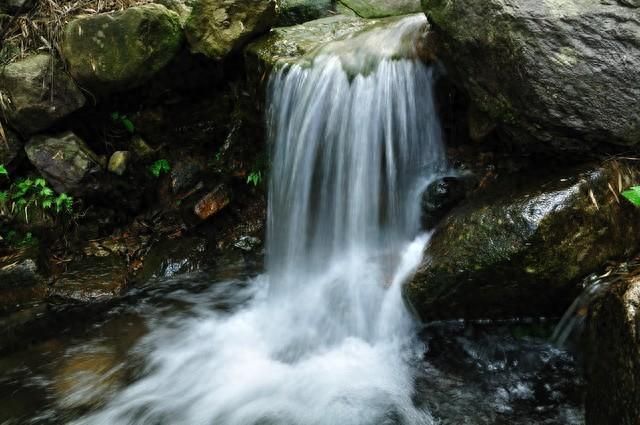 在鸬鸟山徒步，一路竹海溪流相伴，还遇到了云海和星空